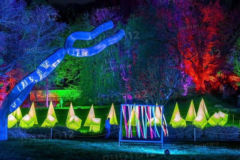 Parkleuchten, event in winter, in the Grugapark in Essen, many different light installations, across the park, attract many thousands of visitors, North Rhine-Westphalia, Germany, Europe