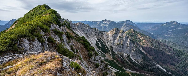 Austrian and Bavarian Schinder, Tegernsee mountains in the Mangfall mountains, Germany, Europe