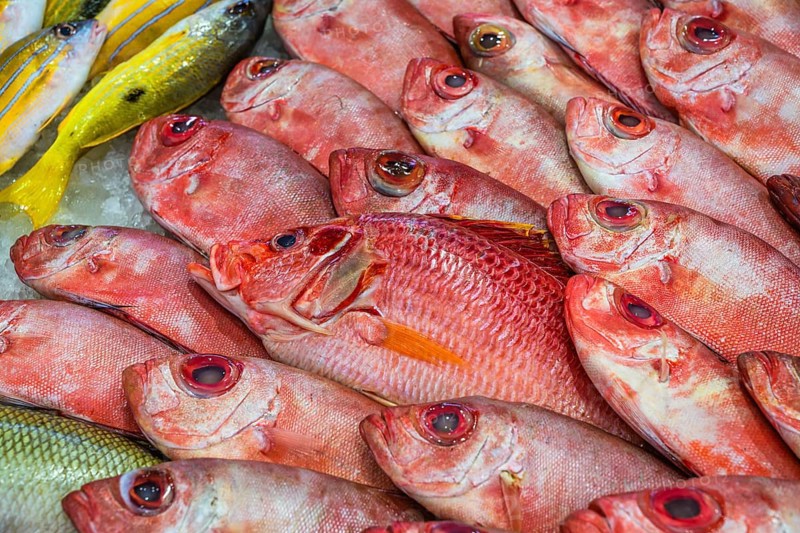 Red Sea Fish, Fish Market in Hurghada, Egypt, Africa