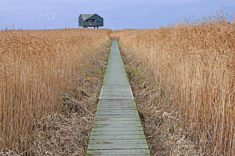 Catwalk, mudflats, Dollard, observation point Kiekkaaste, Nieuwe Statenzijl, Netherlands