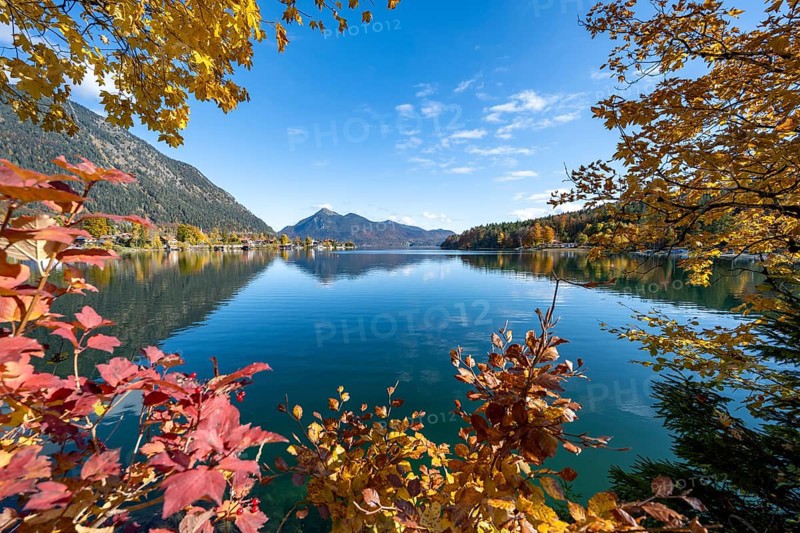View over the lake to the village Walchensee, Walchensee with Jochberg, lake with reflection, yellow and red autumn leaves, Upper Bavaria, Bavaria, Germany, Europe