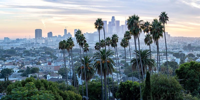 Los Angeles skyline with palm trees and downtown at sunset panorama in California in Los Angeles, USA, North America