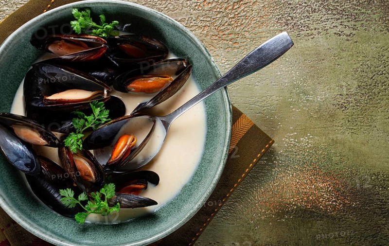 Mussels in shells, in creamy garlic sauce, mussels in bechamel sauce, homemade, no people