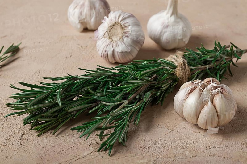 Fresh bunch of rosemary with garlic, on a beige background, food concept