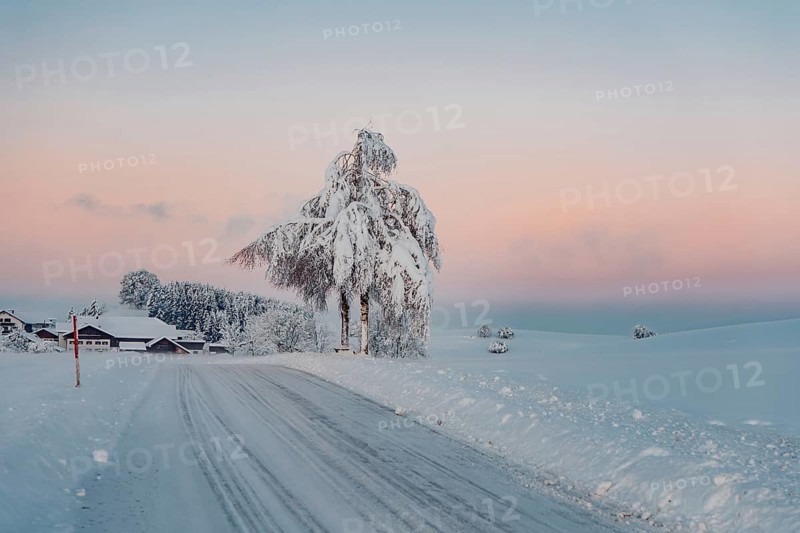 Deep snowy winter morning mood near Halblech in the foothills of the Alps in the Allgäu with the mountains in the background, Bavaria, Germany, Europe
