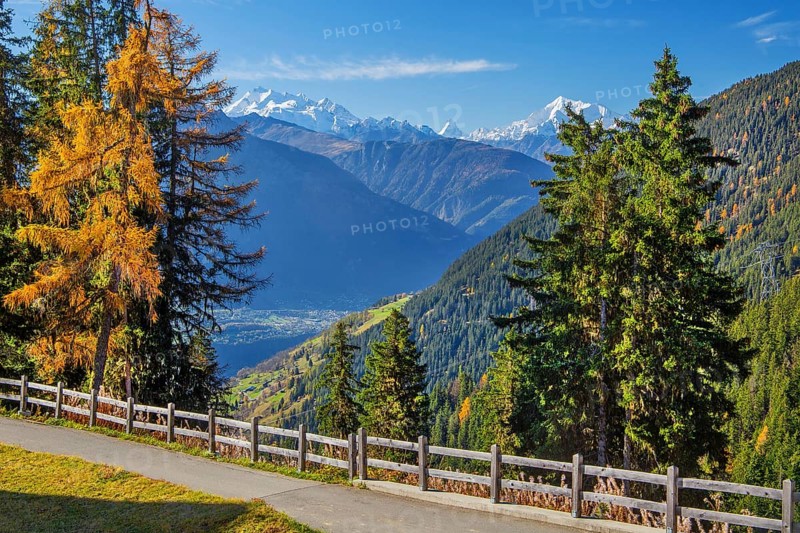 Autumn landscape above the Rhone valley with panorama of Dom 4545m, Matterhorn 4478m and Weisshorn 4505m, Riederalp, Goms, Rhone valley, Upper Valais, Valais, Switzerland, Europe