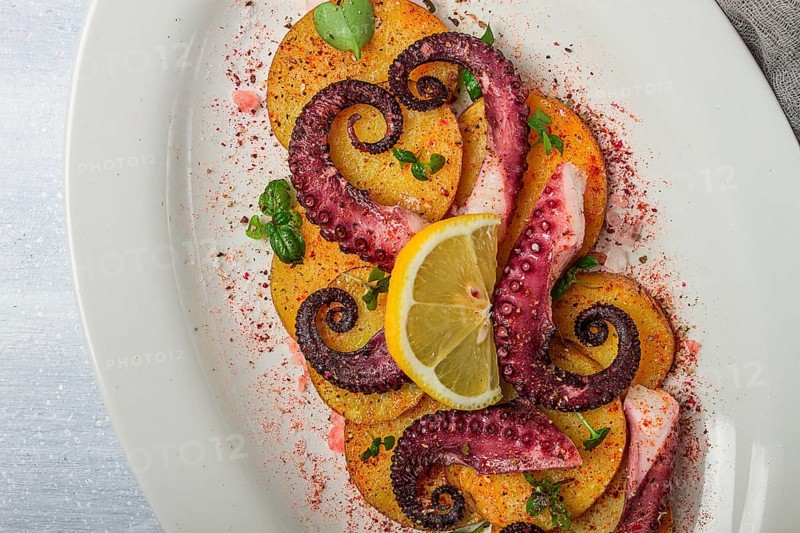 Octopus with potatoes and spices, on a light plate, top view, no people, homemade, close-up