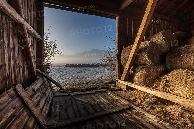 Barn, hut, hay bales, interior shot, morning light, fog, winter, mountains, Loisach-Lake Kochel moor, view of Herzogstand, Alpine foothills, Germany, Europe