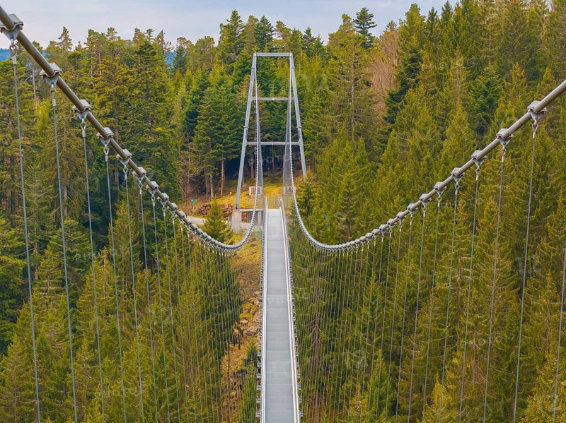 Long suspension bridge stretches over a green forest from the perspective of a walker, Wildline Suspension Bridge, Bad Wildbad, Black Forest, Germany, Europe