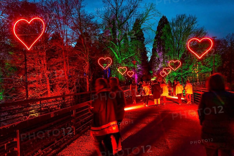 Parkleuchten, event in winter, in the Grugapark in Essen, many different light installations, across the park, attract many thousands of visitors, North Rhine-Westphalia, Germany, Europe