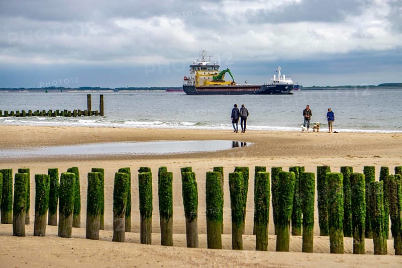 North Sea coast in Zeeland, called Zeeland Riviera, breakwater, made of wooden piles, near Zoutelande, freighter Selvaagsund, municipality of Veere, Netherlands