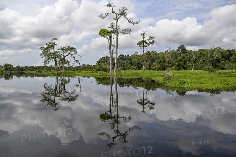 Waterscape on the Akaka River, Loango National Park, Parc National de Loango, Ogooué-Maritime Province, Gabon, Africa