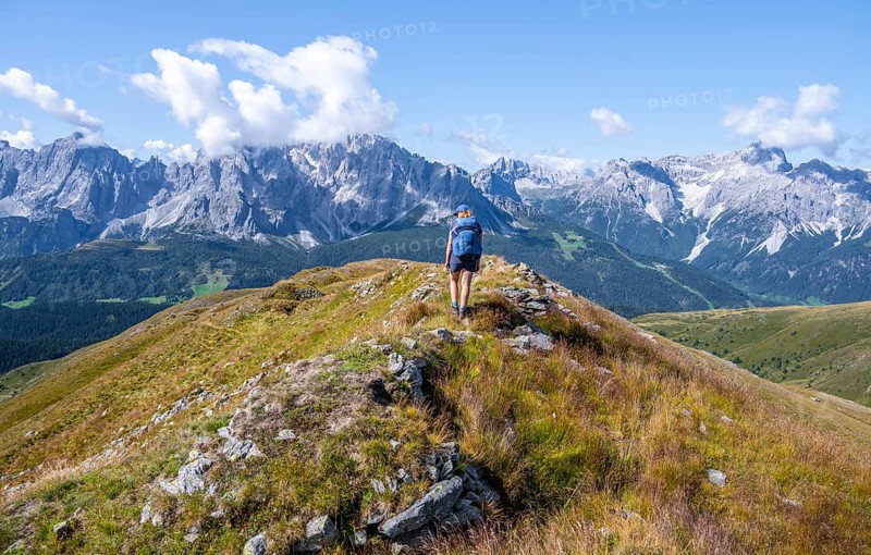 Hiker on the Carnic High Trail, Carnic Main Ridge, Carnic Alps, Carinthia, Austria, Europe
