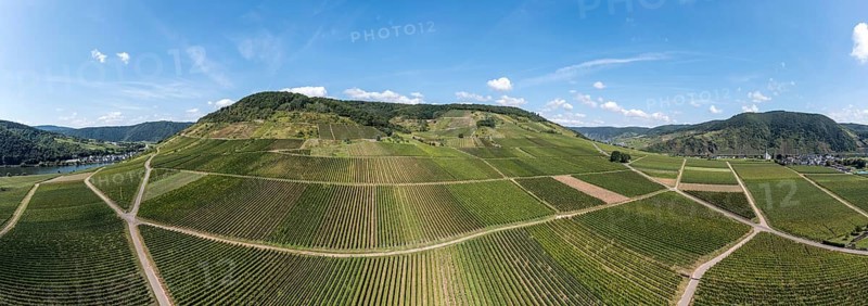 Panoramic aerial view of the vineyards of Ellenz-Poltersdorf at the Moselle river, Germany, Europe