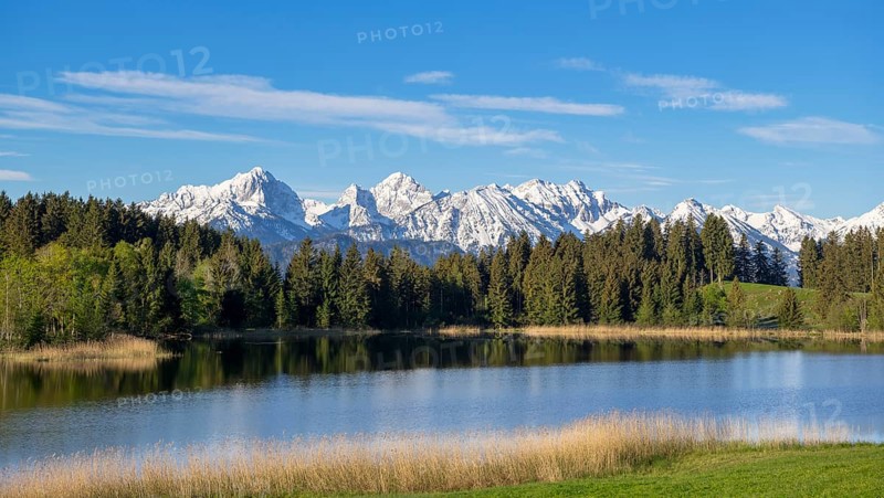 Hegratsrieder See near Füssen, Allgäu Alps, snow, Allgäu, Bavaria, Germany, Europe