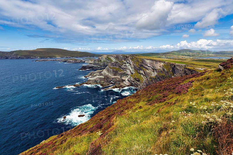 Rugged cliffs on the Atlantic, Kerry Cliffs, Skellig Ring scenic road, Portmagee, Iveragh Peninsula, County Kerry, Wild Atlantic Way, Ireland, Europe