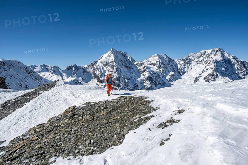 Ski tourers on foot, snow-covered mountain landscape in winter, view of mountain peaks Königsspitze, Monte Zebru and Ortler, Ortler Alps, Vinschgau Valley, Italy, Europe