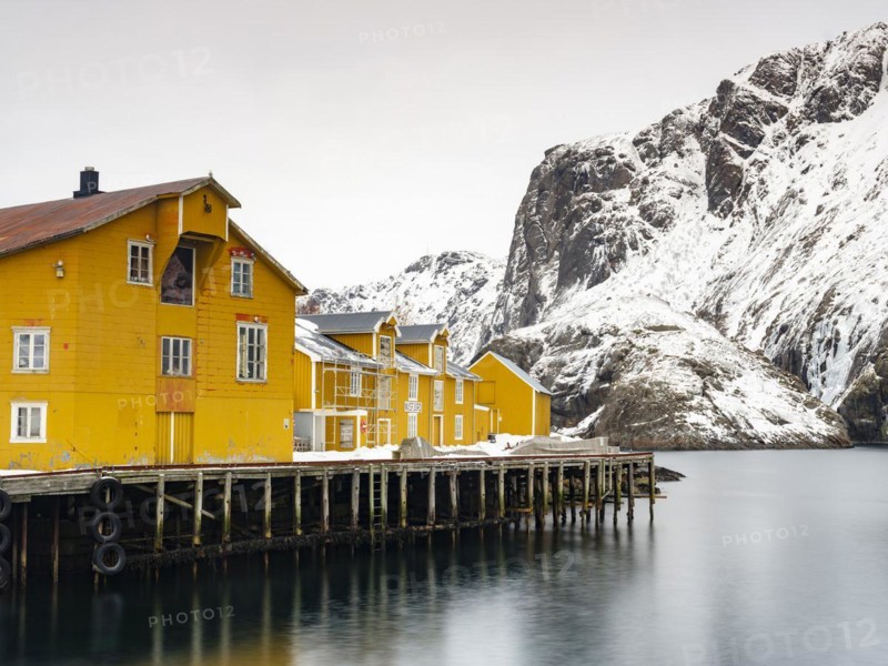 Yellow houses on stilts in the harbour of the authentic fishing village of Nusfjord, snow-capped mountains in the background, Flakstadøya, Lofoten, Norway, Europe