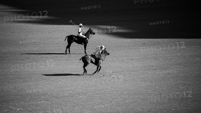 Scene from the 131st Argentine Open Polo Championship (Spanish: Campeonato Argentino Abierto de Polo), the most important international polo tournament, players of the La Hache Polo Team, black and white, Palermo, Buenos Aires, Argentina, South America