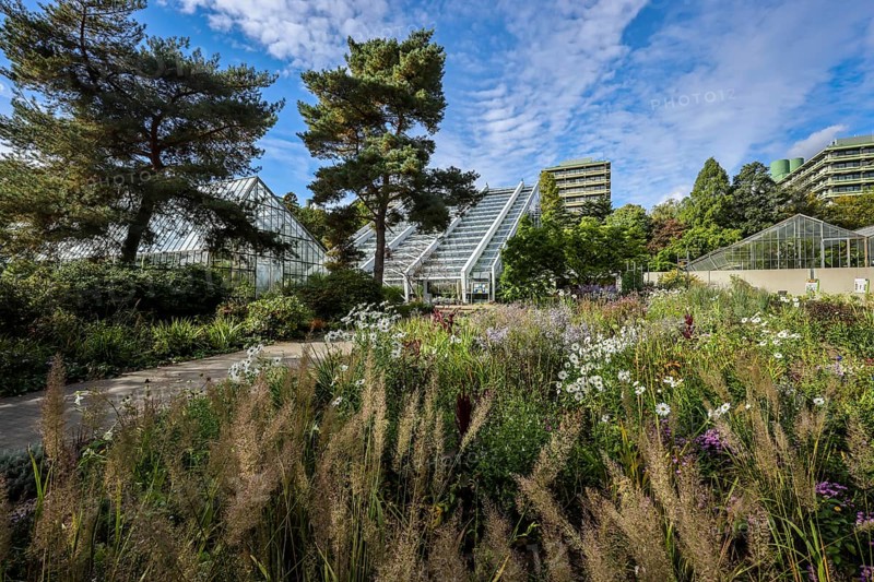 Bochum, North Rhine-Westphalia, Germany - Blooming flower-bed in the flower bed in front of the Tropical House, Botanical Garden of the Ruhr-University Bochum. University building in the background. As part of the Ruhr University Bochum, the botanical garden is primarily used for research and teaching, but also for education and public recreation