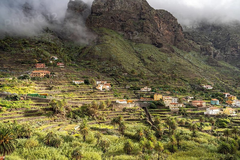 Cultural landscape with palm trees in Valle Gran Rey, La Gomera, Canary Islands, Spain, Europe