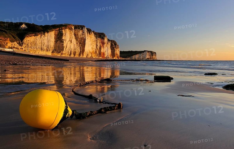 Chalk cliffs of the Alabaster Coast in the evening light, in front a yellow buoy on the beach at low tide, Côte d'Albâtre, Les Petites Dalles, Normandy, France, Europe