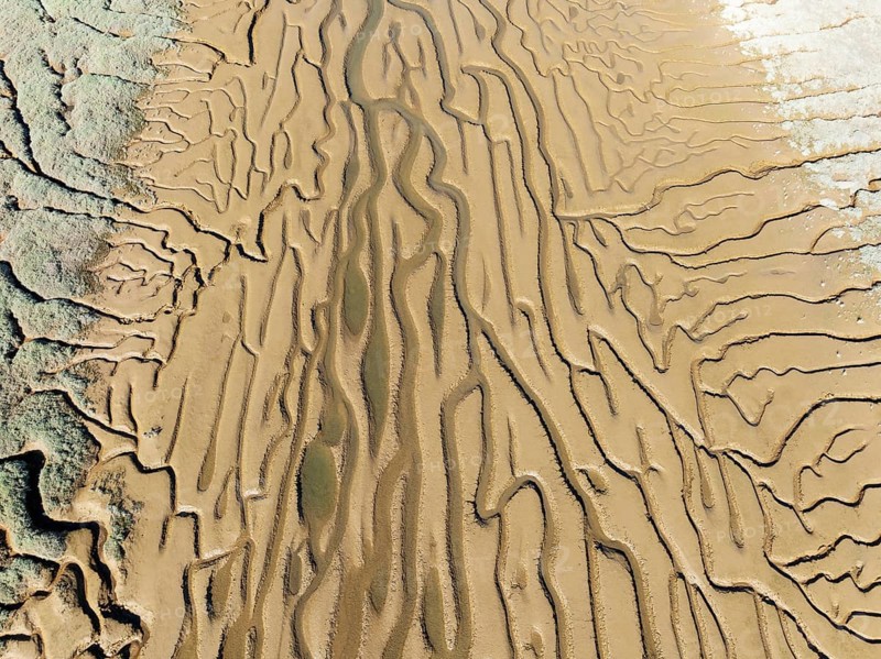 Network of channels and streams at low tide. In the marshland adjacent to the Odiel river. Aerial view. Drone shot. Huelva province, Andalusia, Spain, Europe
