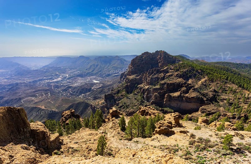 View into the valley of the Caldera de Tirajana, pine forest around the summit of El Campanario, Gran Canaria, Canary Islands, Spain, Europe
