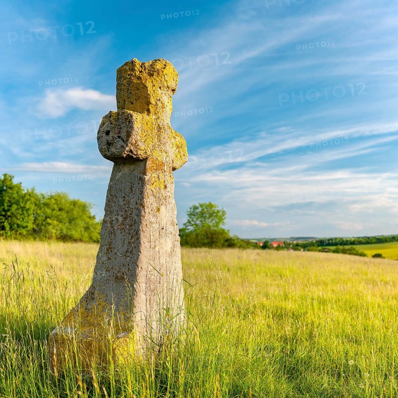 Medieval stone cross, murder cross, atonement cross, Freyburg (Unstrut), Saxony-Anhalt, Germany, Europe