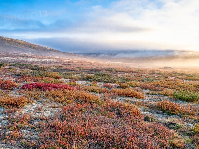 Dovrefjell National Park in autumn, the first rays of sunshine, mountains and fog, frost, Oppdal, Norway, Europe