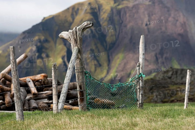 Driftwood fence, Reykjarfjörður, Strandir, Árnes, Westfjords, Iceland, Europe