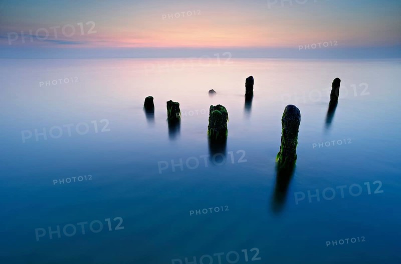 Old posts with algae in the water on the Baltic Sea beach, long exposure at sunset, Fischland-Darß-Zingst peninsula, Western Pomerania Lagoon National Park, Mecklenburg-Western Pomerania, Germany, Europe