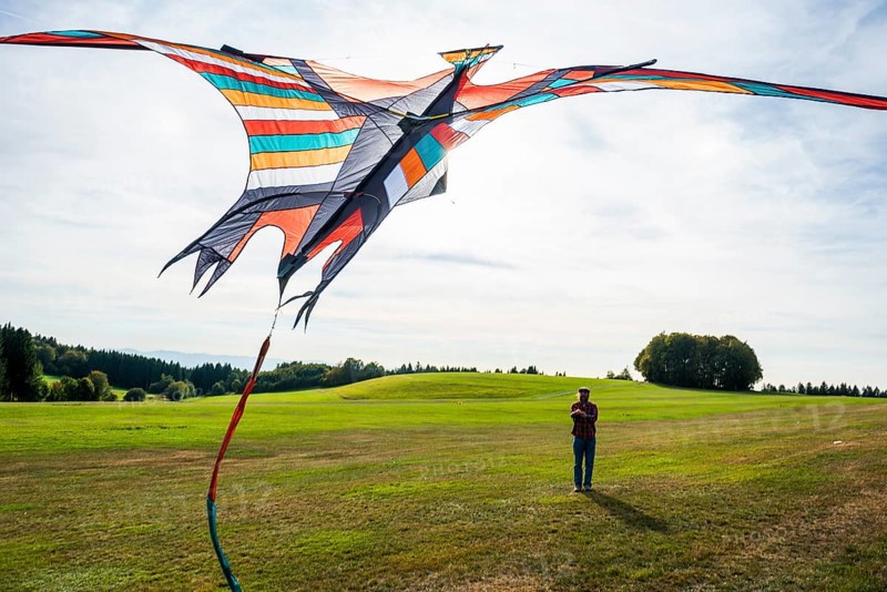 Large stunt kite, Hütten, Rickenbach, Hotzenwald, Southern Black Forest, Black Forest, Baden-Württemberg, Germany, Europe