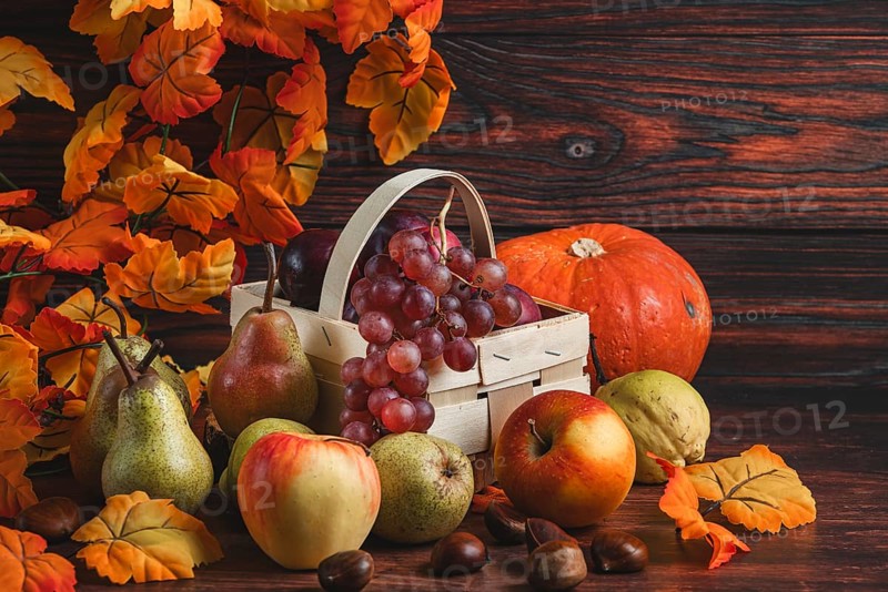 A basket of grapes and plums surrounded by pears, apples, a pumpkin, chestnuts and autumn leaves