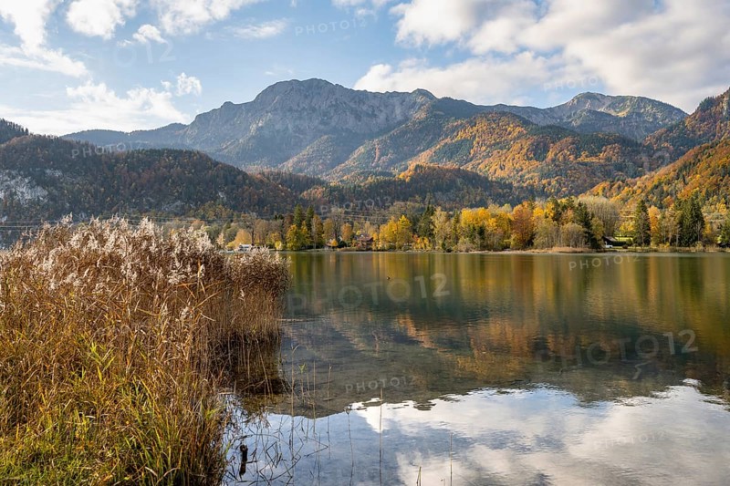 On the shore of Lake Lake Kochel with reflection, autumn landscape with mountain peaks Herzogstand and Heimgarten, Upper Bavaria, Bavaria, Germany, Europe