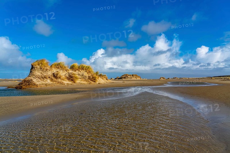 Dune landscape, sand dunes, dune grass in the west of Borkum, island, East Frisia, winter, season, autumn, Lower Saxony, Germany, Europe