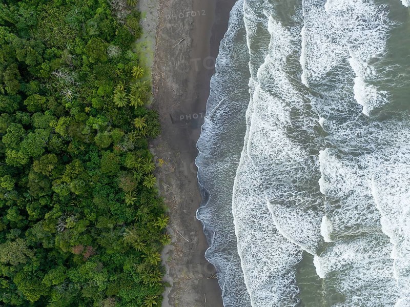 Top-down, aerial view, beach and sea, coast with rainforest, Tortuguero National Park, Costa Rica, Central America