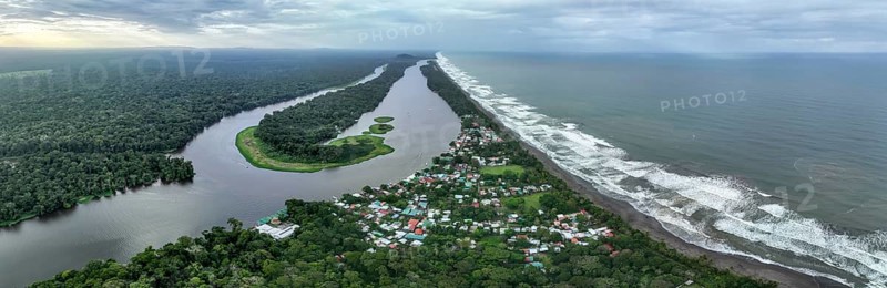 Aerial view, beach and sea, coast with rainforest, Tortuguero National Park, Costa Rica, Central America