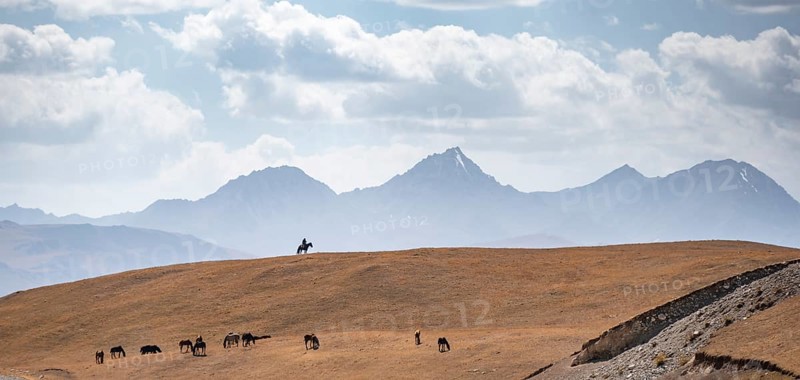 Shepherd on a horse with herd of horses, high mountain peaks behind, Burkhan Valley, Terskey Ala-Too, Tien Shan, Issyk Kul Province, Kyrgyzstan, Asia