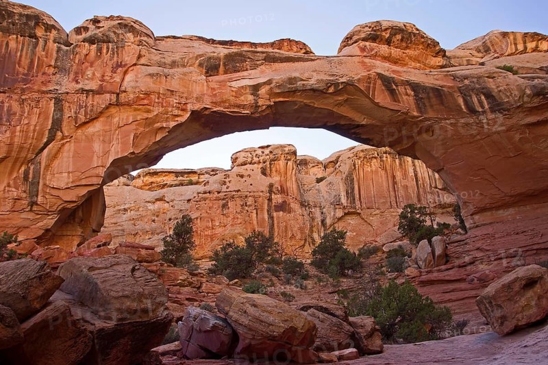 Capitol Reef NP, Utah, USA, Capitol Reef NP, Utah, USA, North America