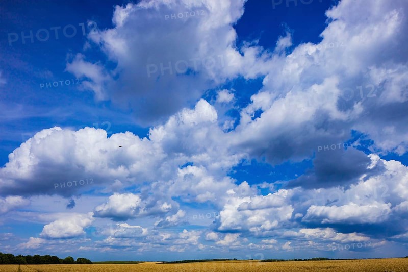 Summer landscape around Geising in the Ore Mountains, Geising, Geising, Saxony, Germany, Europe