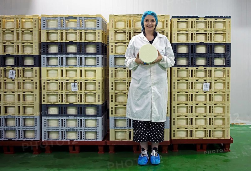 Castilian woman showing a typical Zamora cheese in a cheese factory, cheese stacked in boxes in the back, Fuentesaúco, Zamora province, Castilla y Leon, Spain, Europe