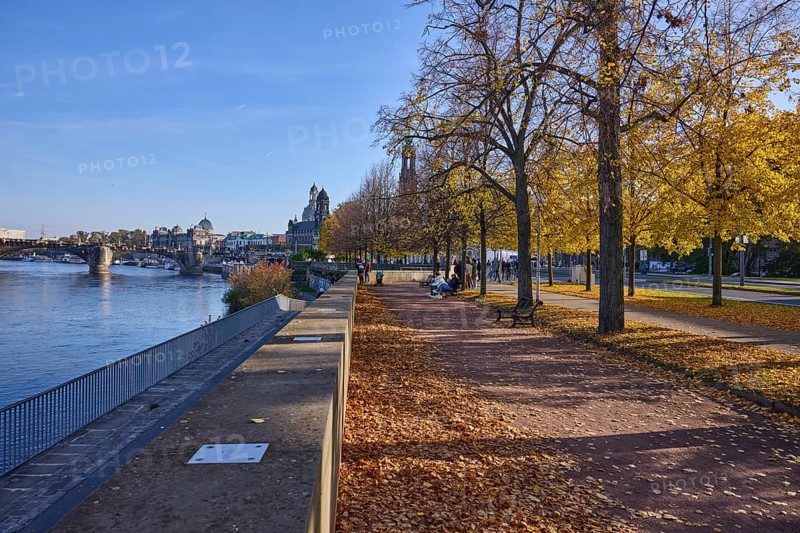 Footpath, Elbe, river, trees, light-flooded autumn foliage, wall, Augustus Bridge, metal railing, pedestrians as accessories, terrace bank, Dresden, state capital, independent city, Saxony, Germany, Europe