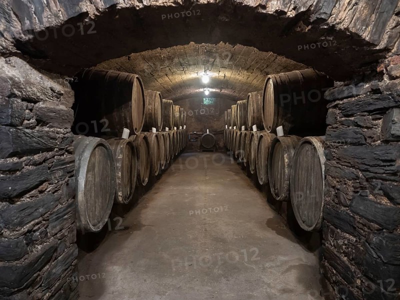 Oak wine barrels in the cellar of a winery, wine cellar, Bernkastel-Kues, Moselle, Rhineland-Palatinate