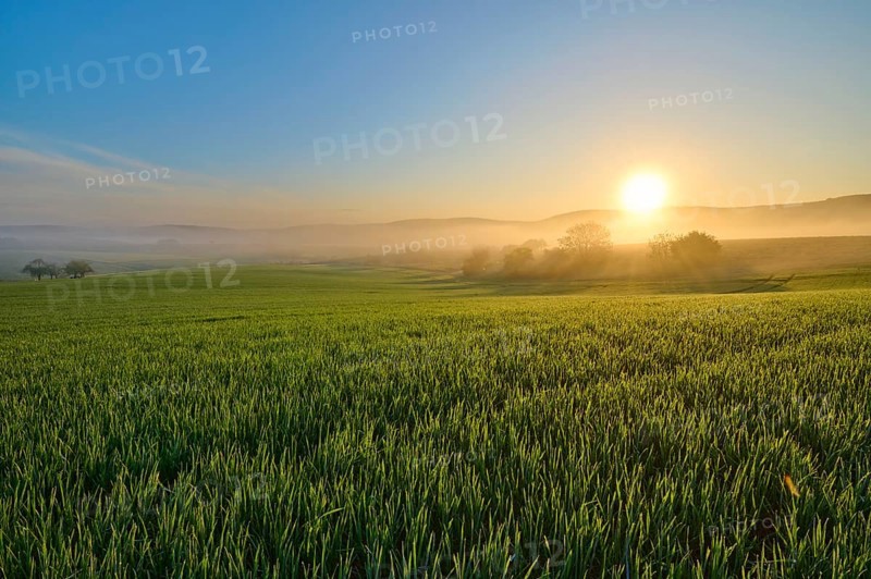A picturesque sunrise over a wide green field and a gentle hilly landscape, Mönchberg, Mltenberg, Spessart, Bavaria, Germany, Europe