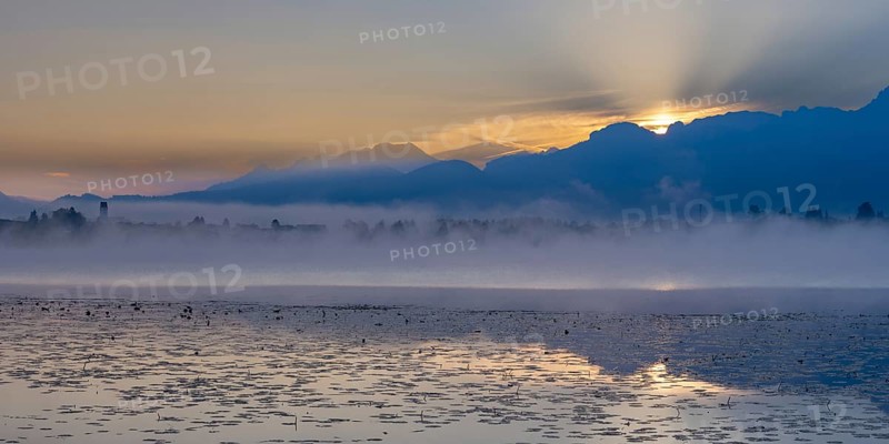 Sunrise at Lake Hopfensee near Füssen, behind Hopfen am See, the Tegelberg massif and the Säuling, Ostallgäu, Allgäu, Upper Swabia, Swabia, Bavaria, Germany, Europe