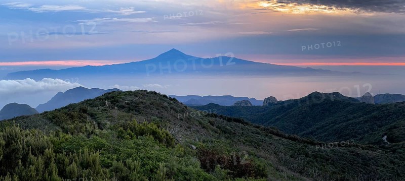 Sunrise, view of Mount Teide from Alto de Garajonay, Tenerife, Garajonay National Park, La Gomera, Canary Island, Spain, Europe