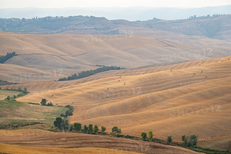 Straw bales on a harvested grain field in a typical Tuscan landscape in Crete Senesi with hills, trees, fields and cypresses in summer, Tuscany, Italy, Europe