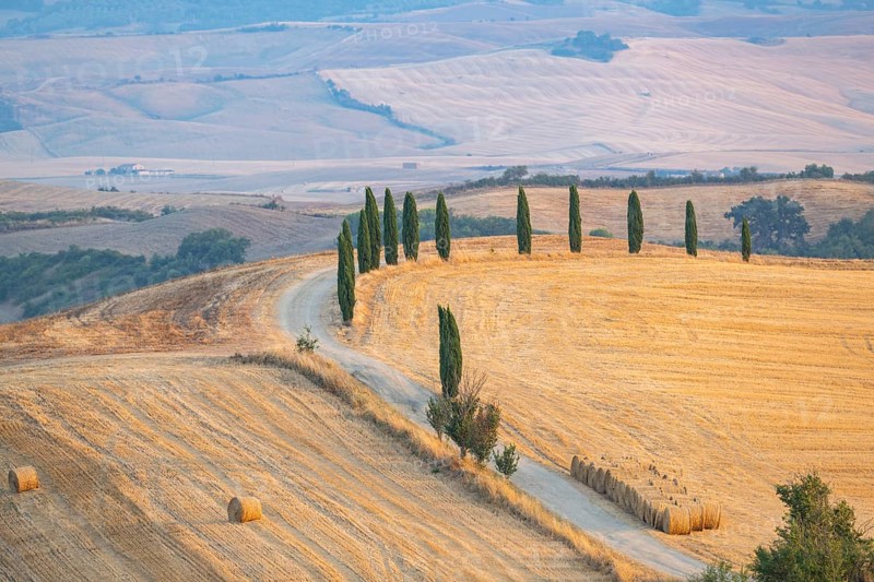 Typical Tuscan landscape in Val d'Orcia with hills, trees, fields, cypresses and farm road in autumn, sunset, gladiator film location, San Quirico d'Orcia, Val d'Orcia, Orcia Valley, UNESCO World Heritage Site, Siena Province, Tuscany, Italy, Europe