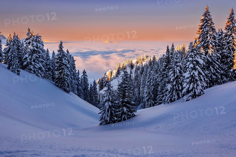 Sunrise snow tour on the Tegelberg in the Allgäu in Bavaria. Winter Wonder Land, Germany, Europe